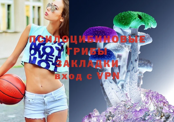 прущая мука Абаза